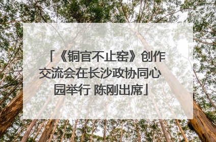 《铜官不止窑》创作交流会在长沙政协同心园举行 陈刚出席