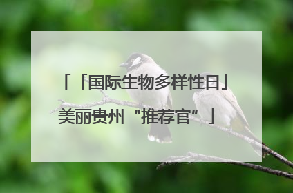 「国际生物多样性日」美丽贵州“推荐官”