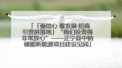 「强信心 看发展·招商引资拼落地」“我们投资得非常放心”——正宁县中钠储能新能源项目建设见闻
