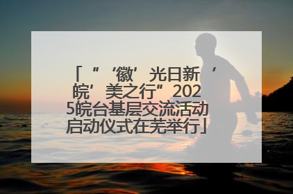 “‘徽’光日新‘皖’美之行”2025皖台基层交流活动启动仪式在芜举行