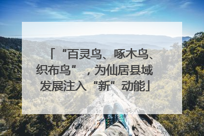 “百灵鸟、啄木鸟、织布鸟”，为仙居县域发展注入“新”动能