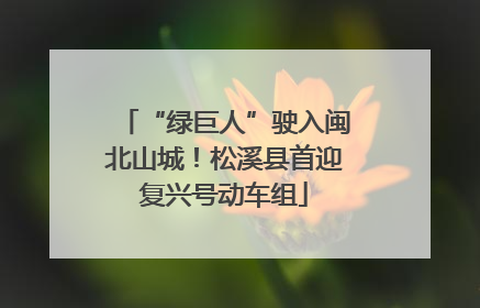 “绿巨人”驶入闽北山城！松溪县首迎复兴号动车组