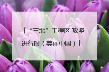 “三北”工程区 攻坚进行时（美丽中国）
