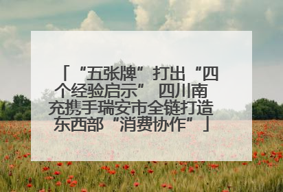 “五张牌”打出“四个经验启示” 四川南充携手瑞安市全链打造东西部“消费协作”