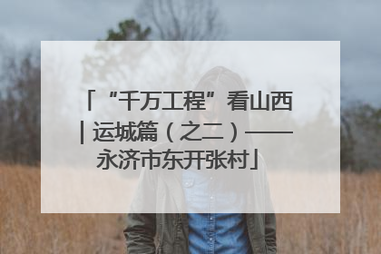 “千万工程”看山西｜运城篇（之二）——永济市东开张村