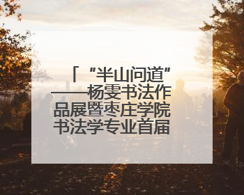 “半山问道”——杨雯书法作品展暨枣庄学院书法学专业首届毕业生作品展在山东省文化馆开幕