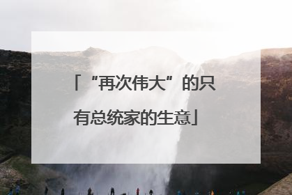 “再次伟大”的只有总统家的生意