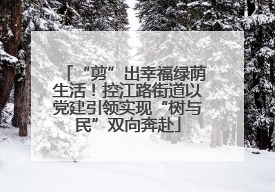 “剪”出幸福绿荫生活！控江路街道以党建引领实现“树与民”双向奔赴