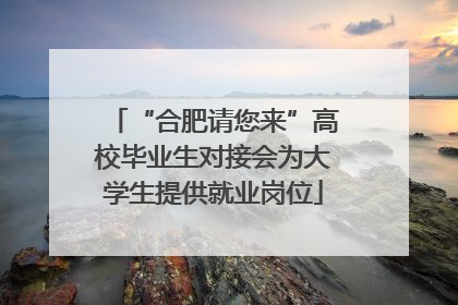 “合肥请您来”高校毕业生对接会为大学生提供就业岗位