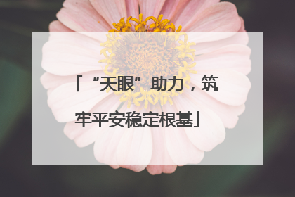 “天眼”助力，筑牢平安稳定根基