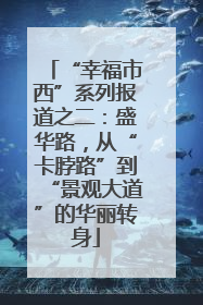 “幸福市西”系列报道之二：盛华路，从“卡脖路”到“景观大道”的华丽转身