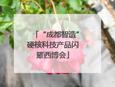 “成都智造”硬核科技产品闪耀西博会