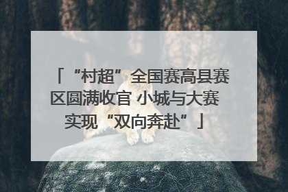 “村超”全国赛高县赛区圆满收官 小城与大赛实现“双向奔赴”