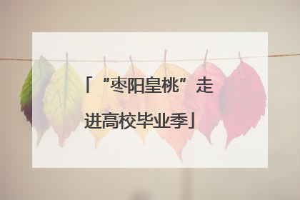 “枣阳皇桃”走进高校毕业季