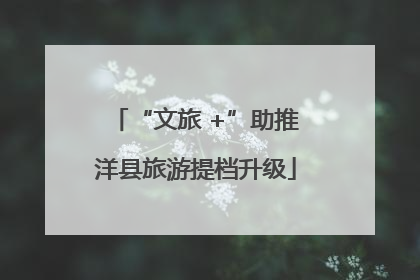 “文旅 +”助推洋县旅游提档升级