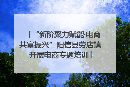 “新阶聚力赋能·电商共富振兴”阳信县劳店镇开展电商专题培训