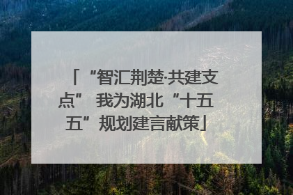 “智汇荆楚·共建支点” 我为湖北“十五五”规划建言献策
