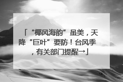 “椰风海韵”虽美，天降“巨叶”要防！台风季，有关部门提醒→