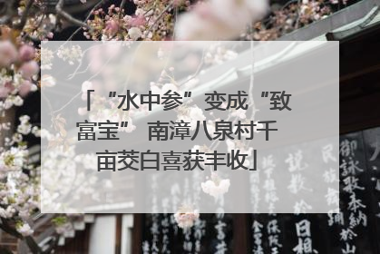 “水中参”变成“致富宝” 南漳八泉村千亩茭白喜获丰收