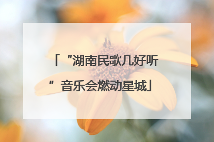 “湖南民歌几好听”音乐会燃动星城
