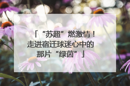 “苏超”燃激情！走进宿迁球迷心中的那片“绿茵”