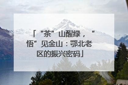 “茶”山醒绿，“悟”见金山：鄂北老区的振兴密码