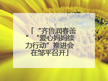 “齐鲁润春蕾”“爱心妈妈续力行动”推进会在邹平召开