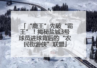 “鹿王”先破“霸王”！揭秘盐城3号球员进球背后的“农民街游侠”联盟