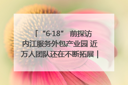 “6·18” 前探访内江服务外包产业园 近万人团队还在不断拓展｜内江东兴“红”在哪⑤