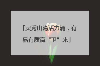 灵秀山湾活力涌，有品有质赢“卫”来