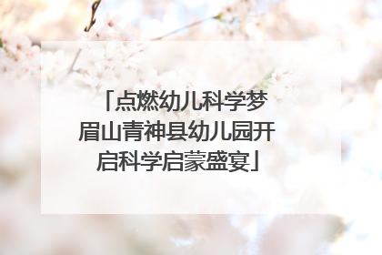 点燃幼儿科学梦 眉山青神县幼儿园开启科学启蒙盛宴