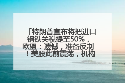 特朗普宣布将把进口钢铁关税提至50%，欧盟：遗憾，准备反制！美股此前震荡，机构：美元正进入熊市