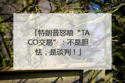 特朗普怒喷“TACO交易”：不是胆怯，是谈判！