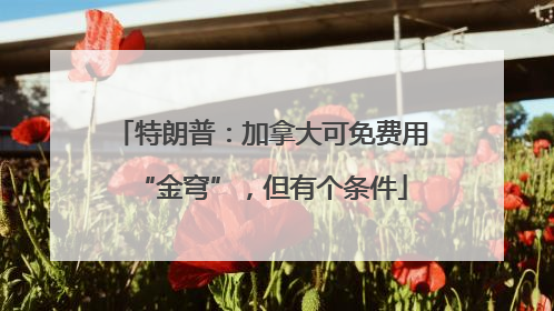 特朗普：加拿大可免费用“金穹”，但有个条件