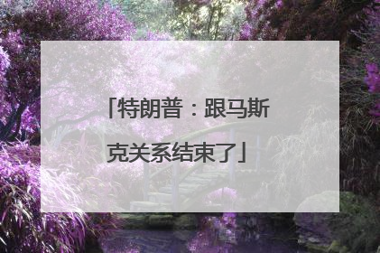 特朗普：跟马斯克关系结束了