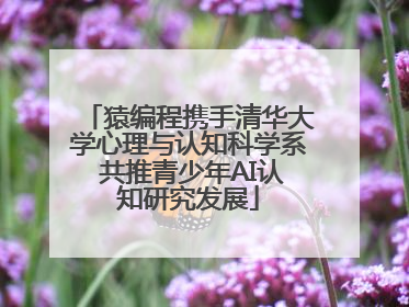 猿编程携手清华大学心理与认知科学系 共推青少年AI认知研究发展