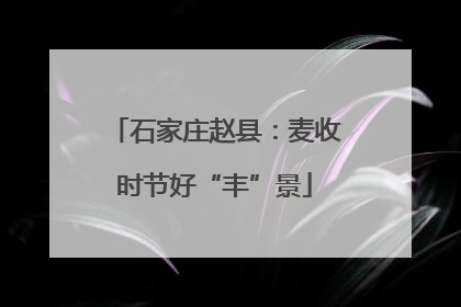 石家庄赵县：麦收时节好“丰”景