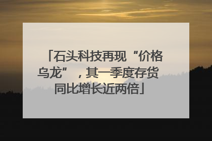 石头科技再现“价格乌龙”，其一季度存货同比增长近两倍