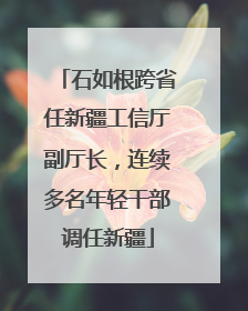 石如根跨省任新疆工信厅副厅长，连续多名年轻干部调任新疆