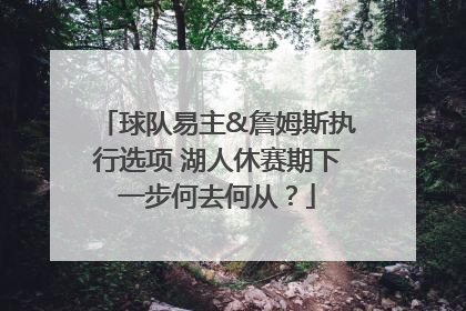 球队易主&詹姆斯执行选项 湖人休赛期下一步何去何从？