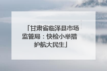 甘肃省临泽县市场监管局：快检小举措 护航大民生