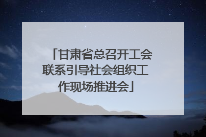 甘肃省总召开工会联系引导社会组织工作现场推进会