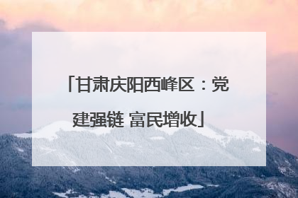 甘肃庆阳西峰区：党建强链 富民增收