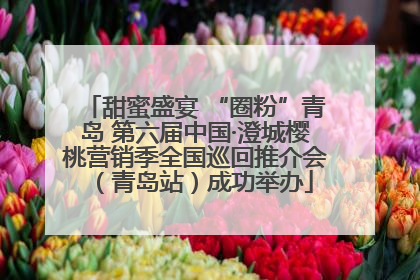 甜蜜盛宴 “圈粉”青岛 第六届中国·澄城樱桃营销季全国巡回推介会（青岛站）成功举办