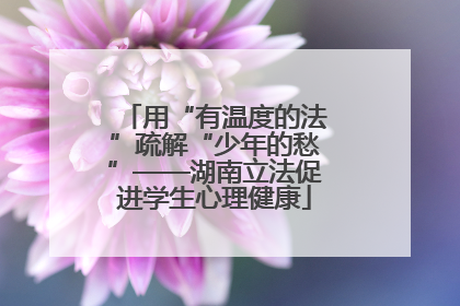 用“有温度的法”疏解“少年的愁”——湖南立法促进学生心理健康