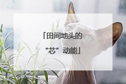 田间地头的“芯”动能