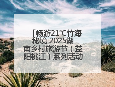 畅游21℃竹海秘境 2025湖南乡村旅游节（益阳桃江）系列活动5月29日启幕