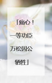 痛心！一等功臣万松因公牺牲