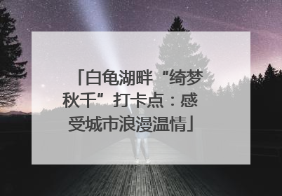 白龟湖畔“绮梦秋千”打卡点：感受城市浪漫温情