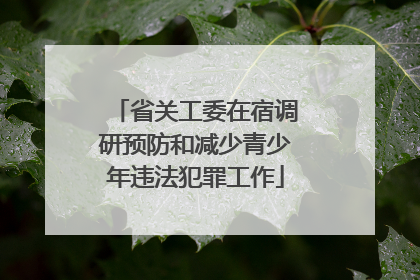 省关工委在宿调研预防和减少青少年违法犯罪工作
